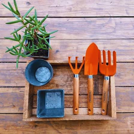 kit de Jardineria